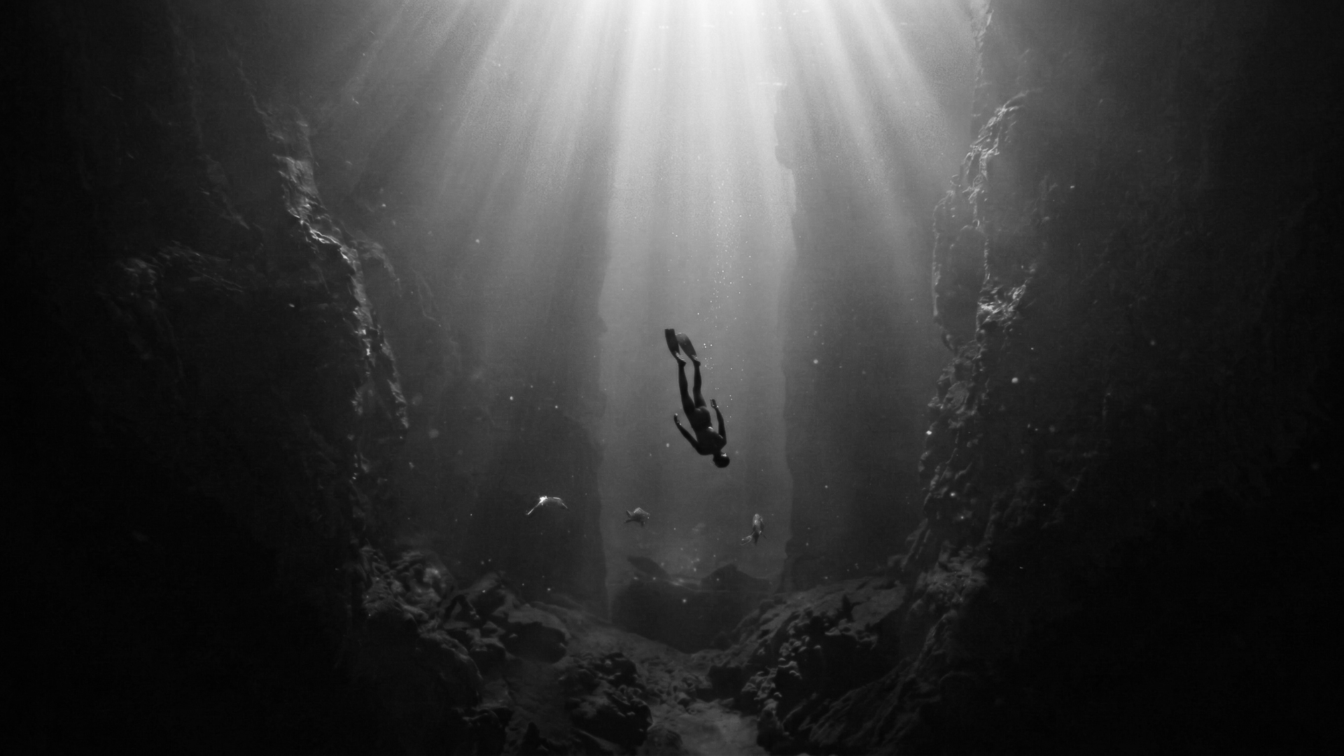 Inmersión de Crecimiento